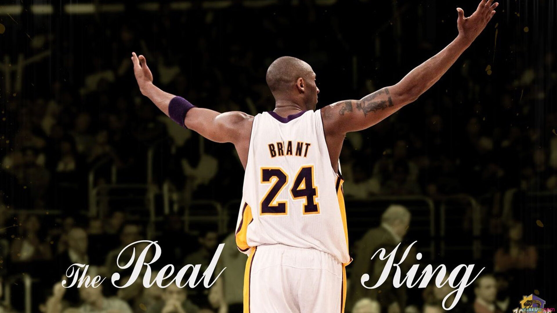 “萨尔·巴赫在南非队的领导地位稳步上升”