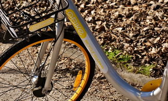 开云网站-极限单车挑战赛城市赛道全面升级，极限单车视频集锦