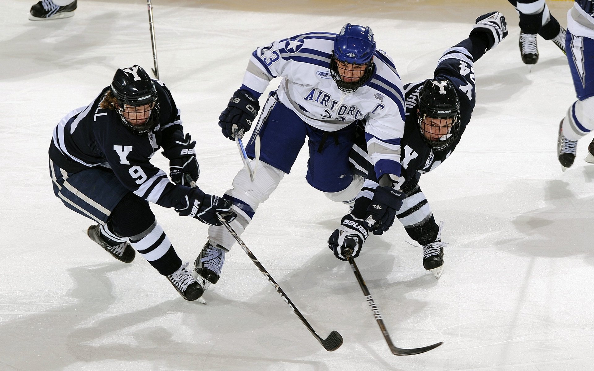中国篮球是否推动建立球员多职业技能培养体系，培养职业篮球运动员的学校